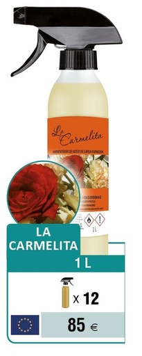 [402] AMBIENTADOR CARMELITA